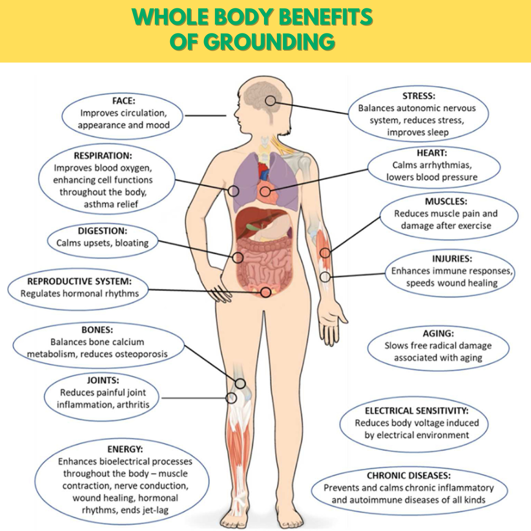 LiveGrounded™ Earthing Sheets.